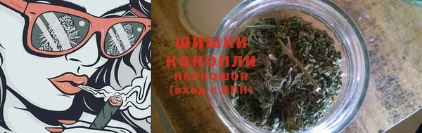 PSILOCYBIN Алзамай