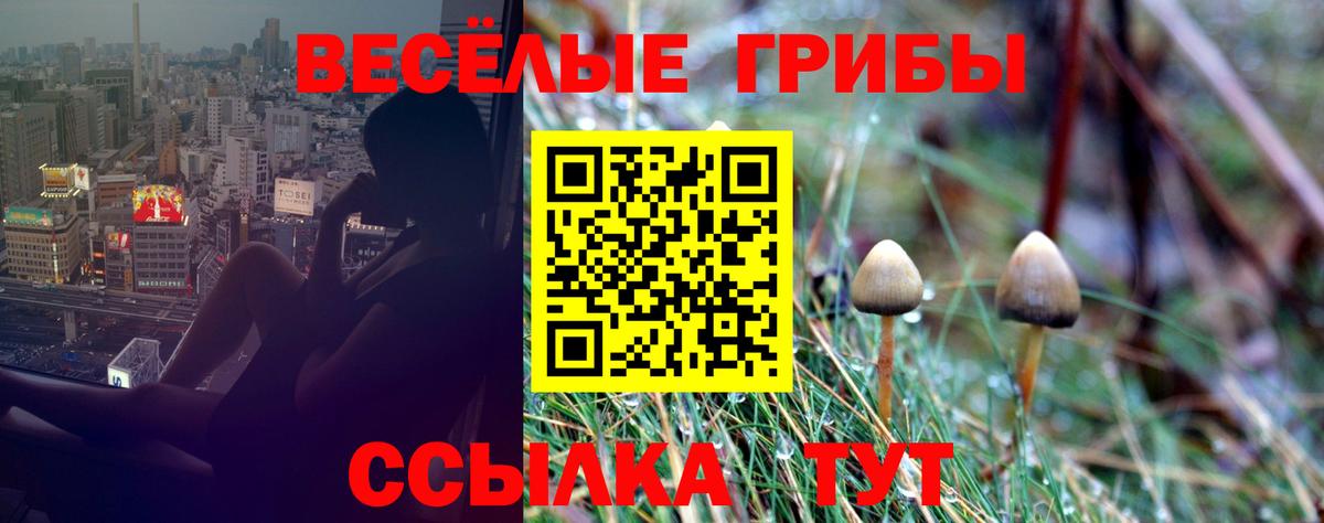 сколько стоит  Псилоцибиновые грибы Psilocybe  Вход с VPN  Череповец  Псилоцибиновые грибы Psilocybine cubensis 